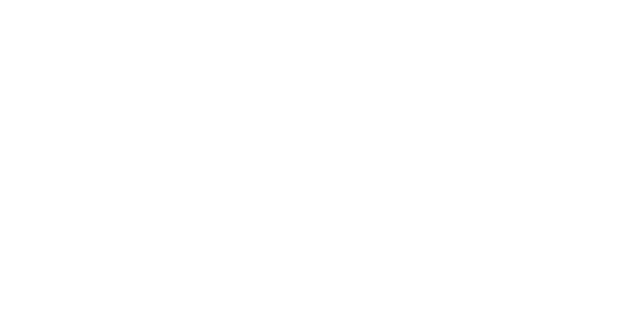 tesla nano